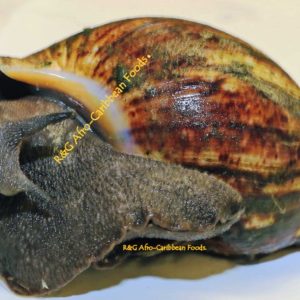 Snail